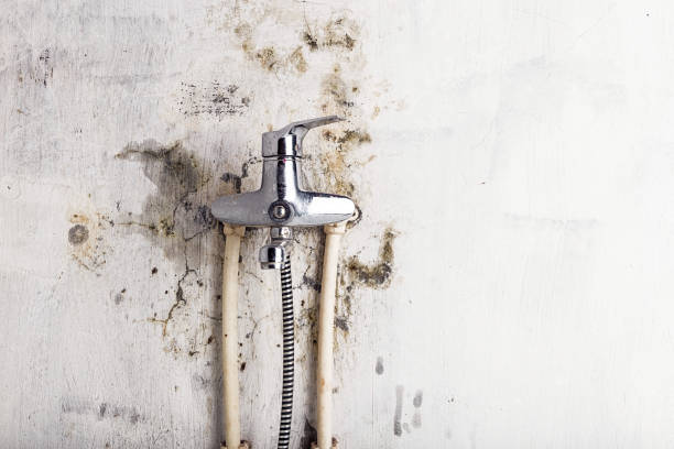 Best Local Mold Removal Service  in Medical Lake, WA