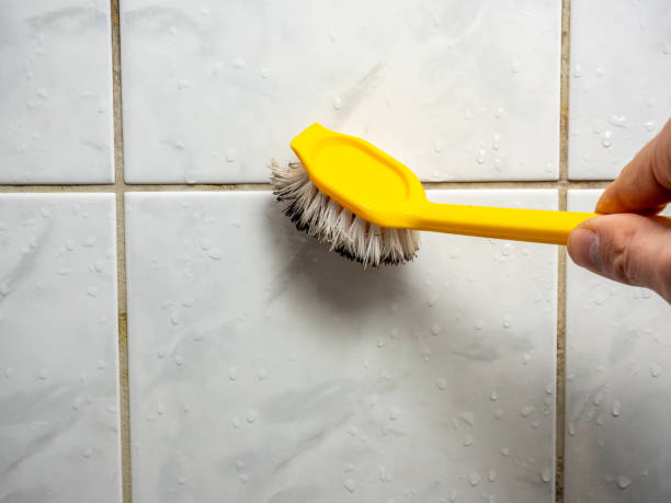 Best Mold Remediation  in Medical Lake, WA