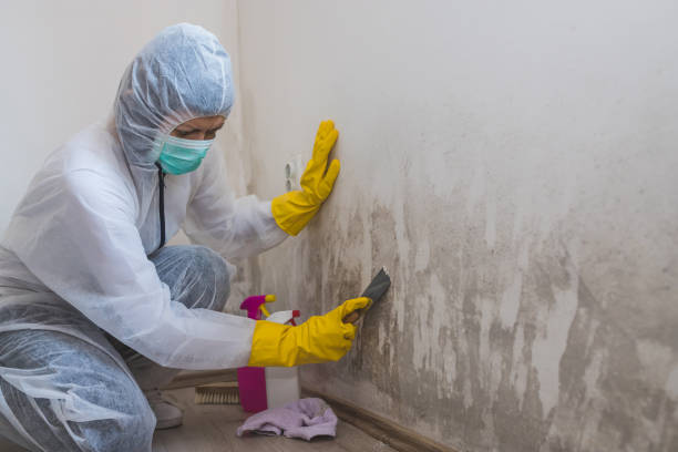 Best Mold Testing  in Medical Lake, WA