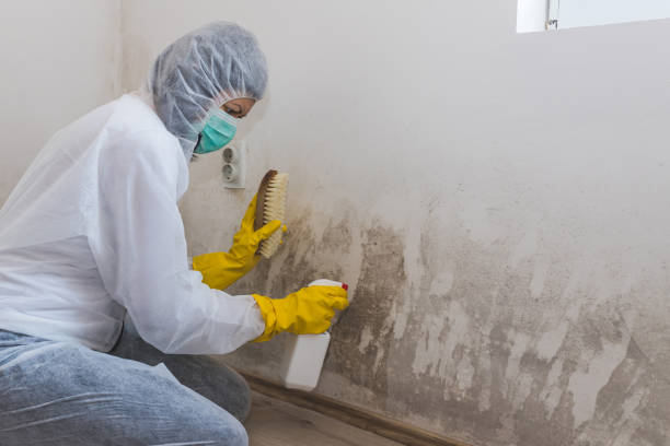 Best Mold Testing  in Medical Lake, WA