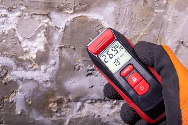 Best Mold Cleaning Services  in Medical Lake, WA