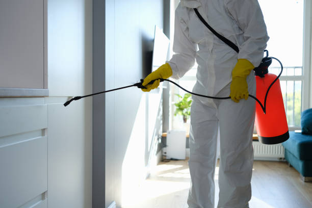 Best Same-Day Mold Removal  in Medical Lake, WA