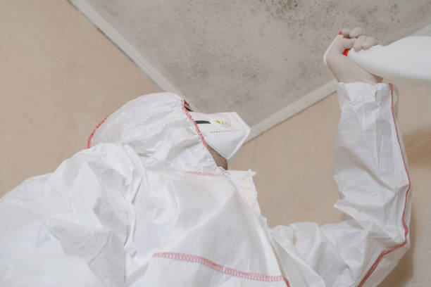 Best Office Mold Removal Services  in Medical Lake, WA