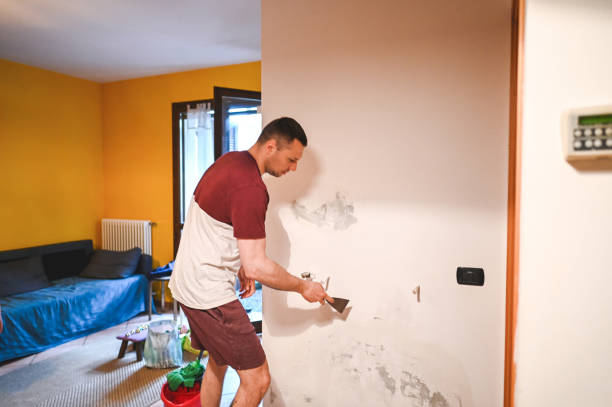 Best Same-Day Mold Removal  in Medical Lake, WA
