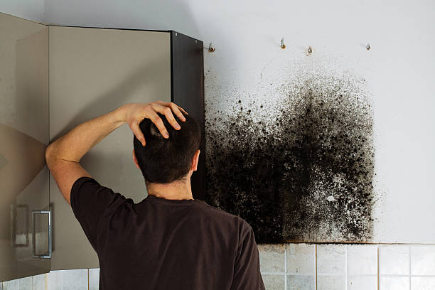 Best Emergency Mold Removal  in Medical Lake, WA