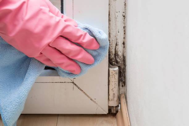 Best Residential Mold Removal  in Medical Lake, WA